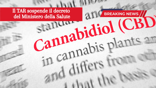 News: Udienza TAR "Sospeso Decreto Ministero della Salute"