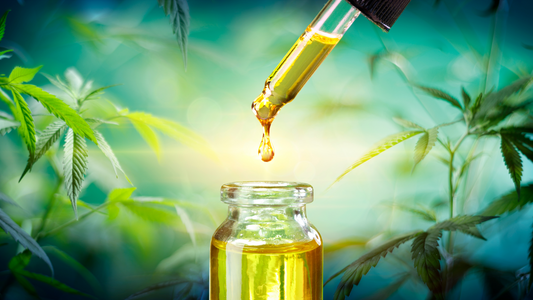 Olio CBD: che cos’è, a cosa serve e come si usa?