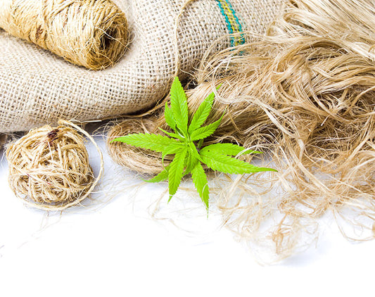 cannabis light uso tessuto cordame in canapa blog tuscanyhemp