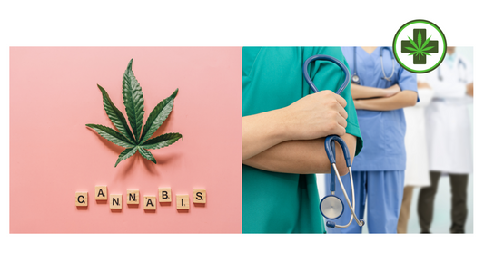 Cannabis terapeutica: accessibilità in Toscana