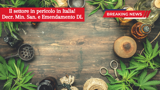 Le ultime novità in Italia: ritorno al passato?