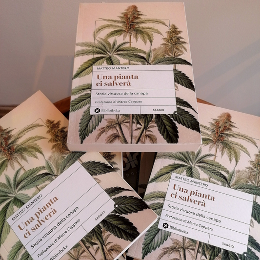 Una pinata ci salverà