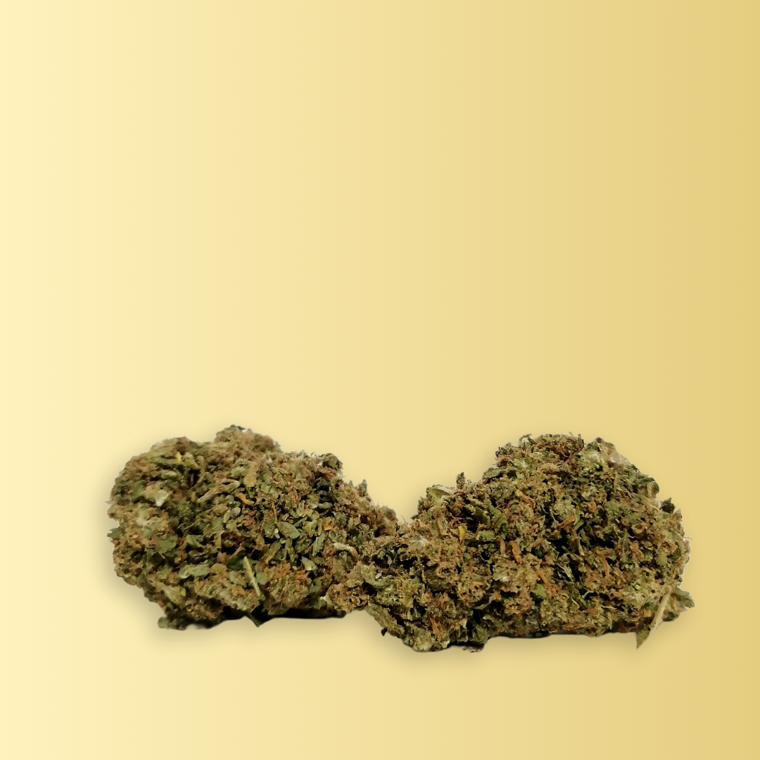 Infiorescenza Cannabis light tuscanyhemp