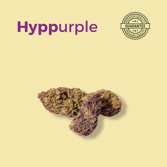 Erba legale Weedom Purple