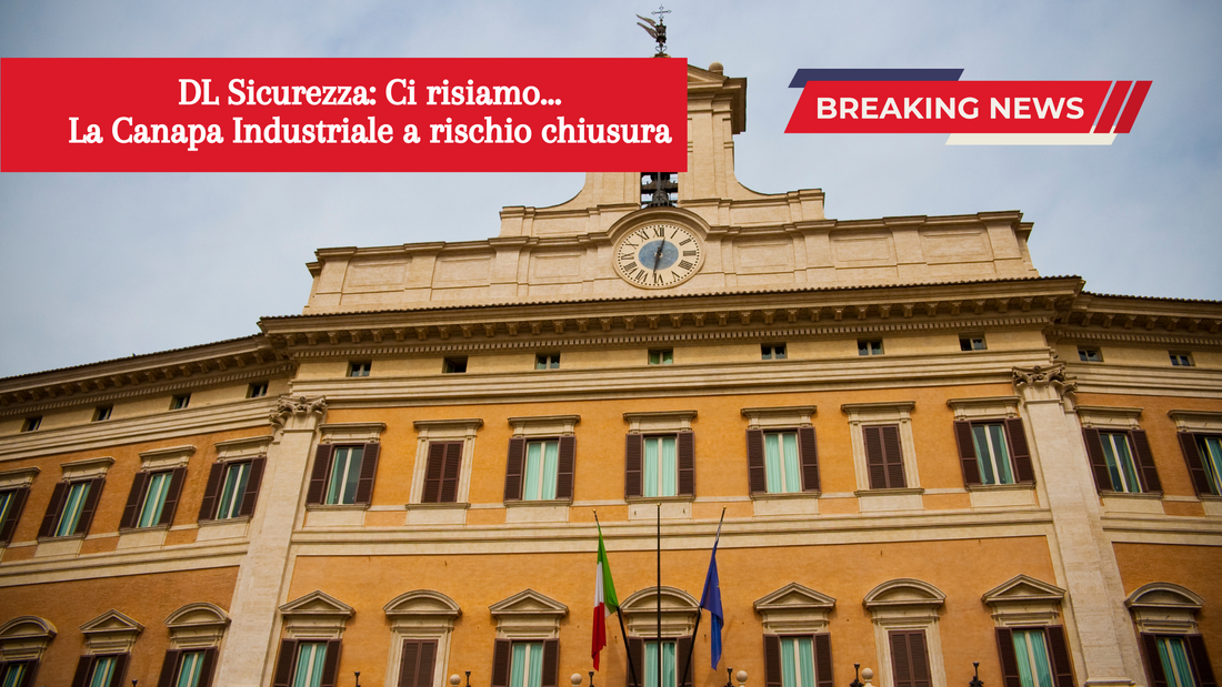 DL Sicurezza: Il nostro settore a rischio chiusura