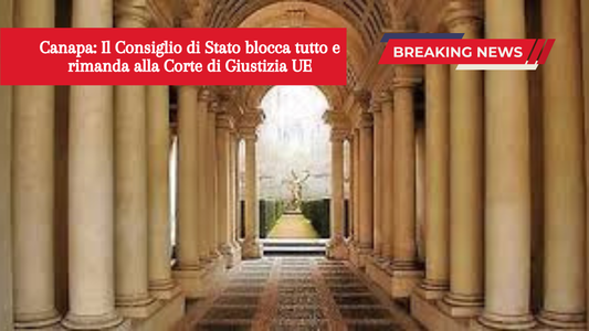 Canapa: Il Consiglio di Stato blocca tutto e rimanda alla Corte di Giustizia Europea