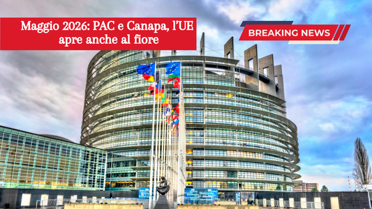 Ue: fondi PAC anche per la Canapa industriale