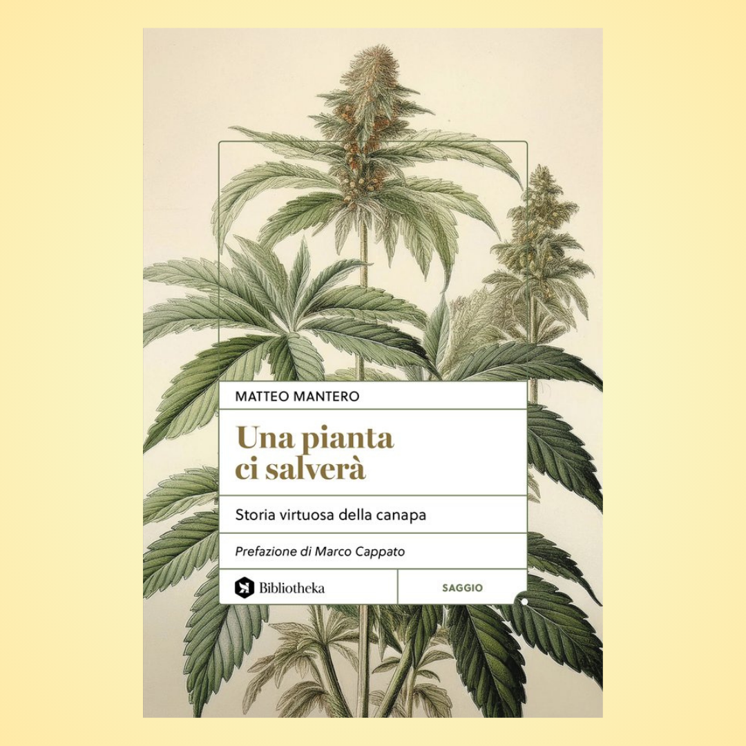 Storia virtuosa della canapa - Una pianta ci salverà